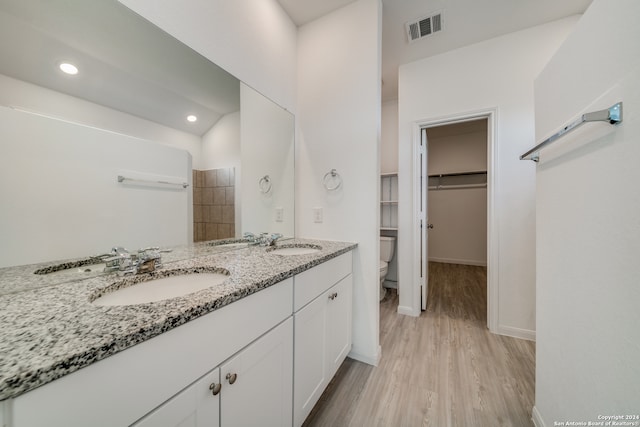 bathroom with vanity, wood-type flooring, and toilet