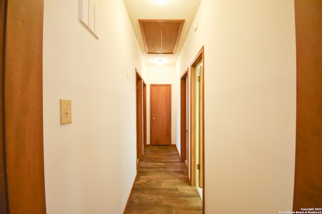 hall featuring a textured ceiling and hardwood / wood-style flooring