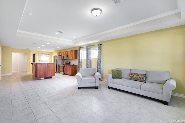 living room featuring a raised ceiling