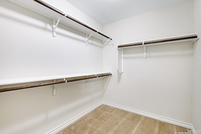 spacious closet with carpet flooring