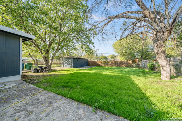 view of yard with a storage unit