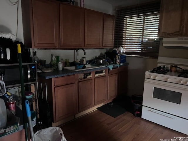 kitchen featuring white gas range, extractor fan, dark hardwood / wood-style flooring, and sink