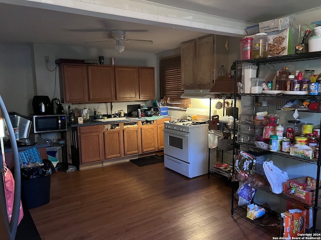 kitchen featuring ceiling fan, white gas range oven, and dark hardwood / wood-style flooring