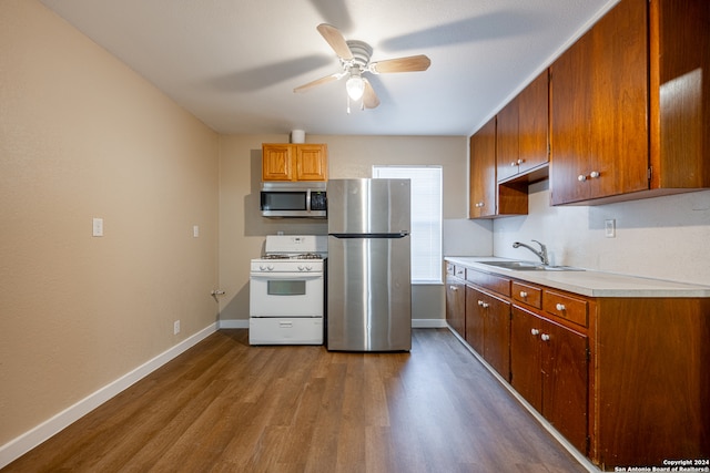 kitchen featuring appliances with stainless steel finishes, sink, wood-type flooring, and ceiling fan