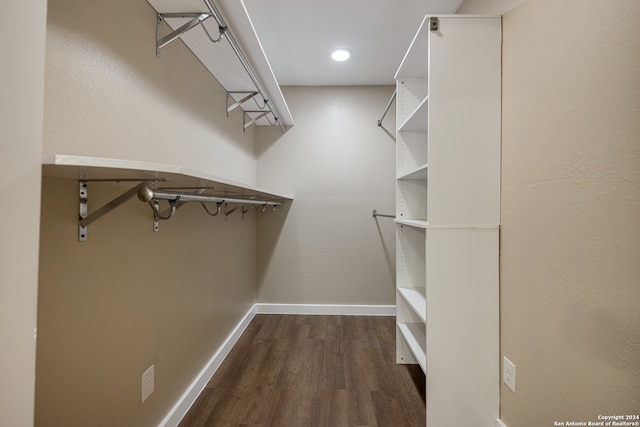 spacious closet featuring dark hardwood / wood-style flooring