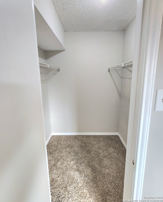 spacious closet with carpet flooring