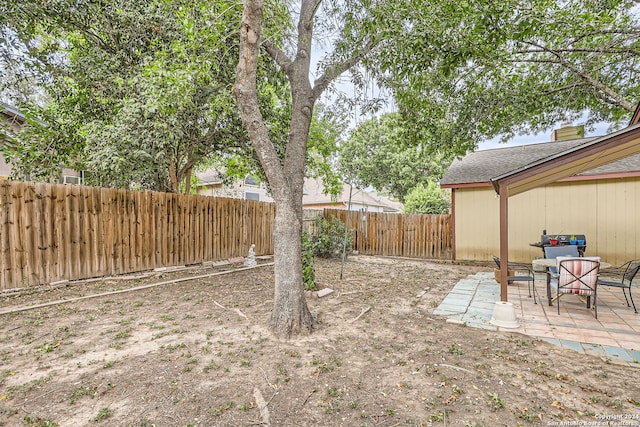 view of yard featuring a patio