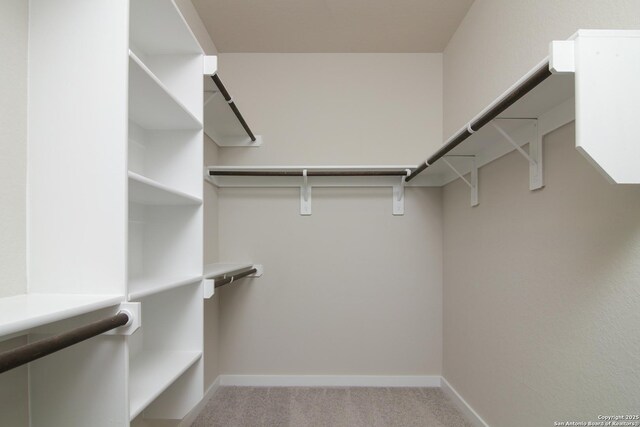 walk in closet with light carpet