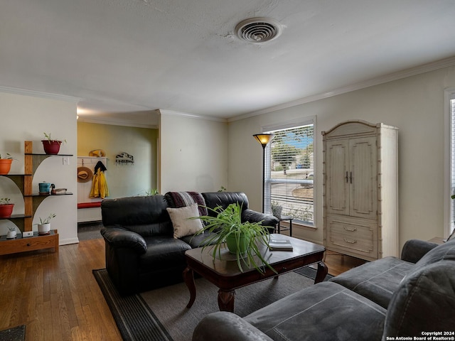 living room featuring dark wood-type flooring and crown molding