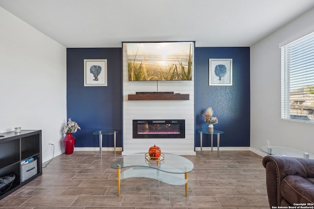 living room featuring a fireplace and hardwood / wood-style flooring