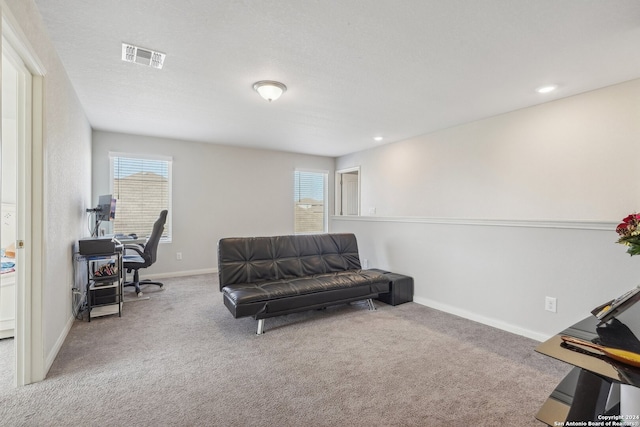 living area featuring light carpet and a textured ceiling