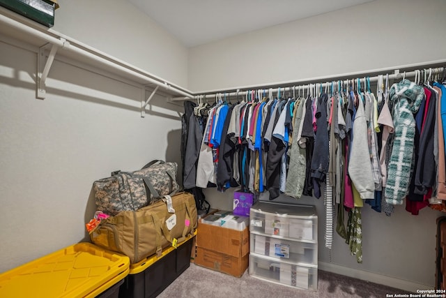 walk in closet featuring carpet flooring