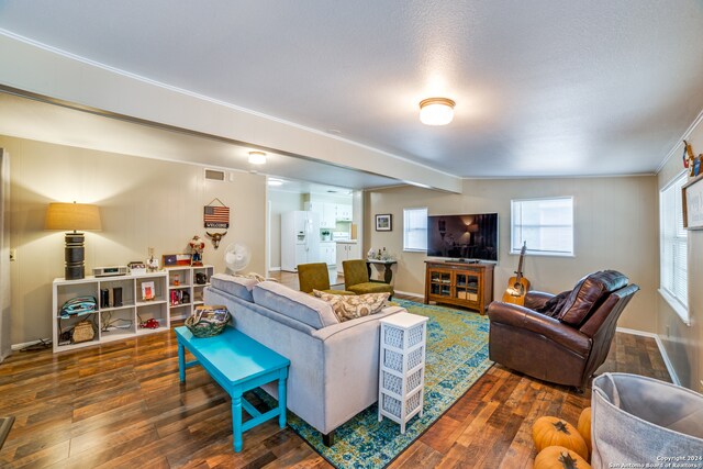 living room featuring dark hardwood / wood-style flooring