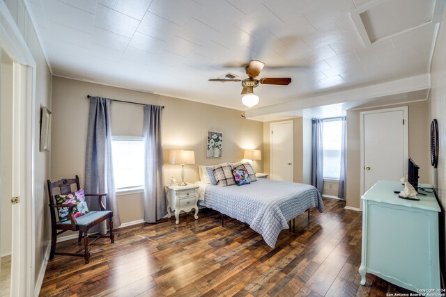 bedroom with multiple windows, dark wood-type flooring, and ceiling fan