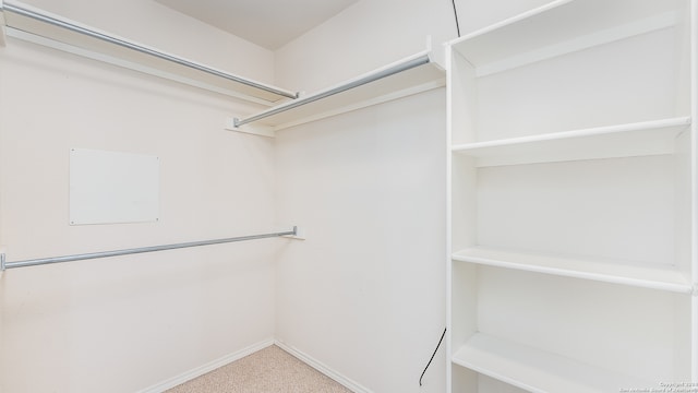 spacious closet with carpet