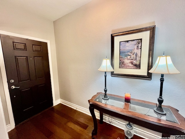 entrance foyer featuring dark wood-type flooring