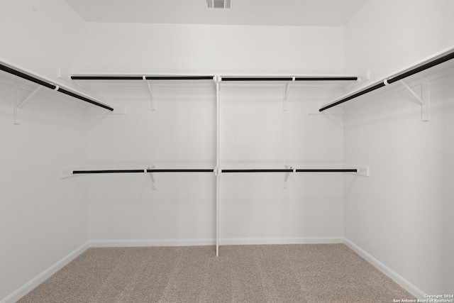 walk in closet with carpet floors