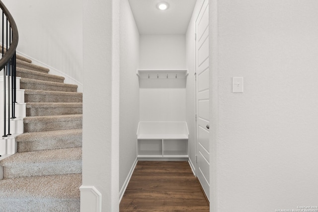 mudroom with dark hardwood / wood-style flooring