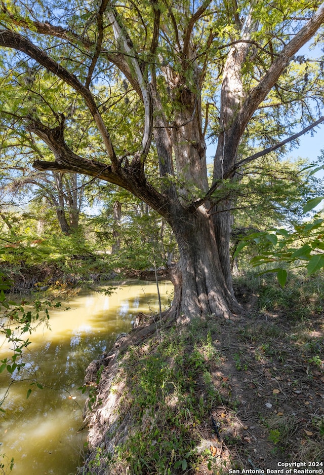 view of nature with a water view