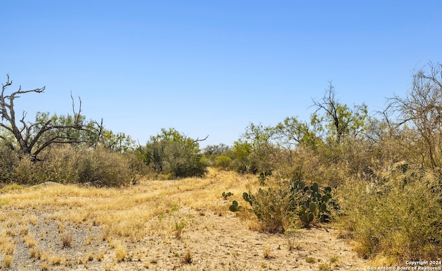 view of nature