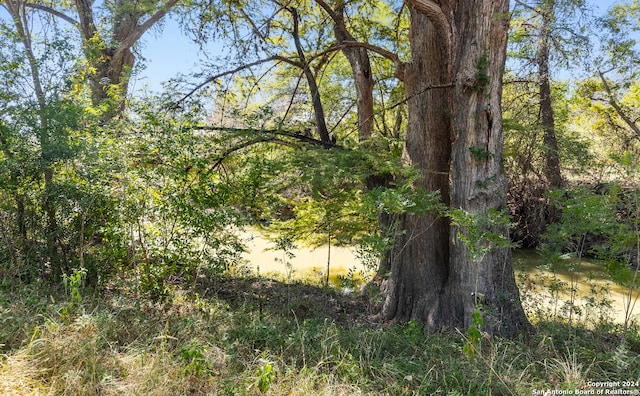 view of local wilderness featuring a water view