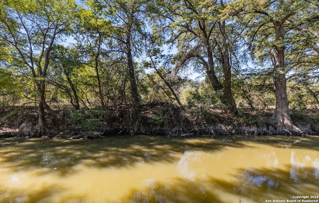 view of landscape featuring a water view