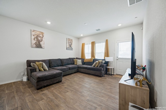 living room with wood-type flooring