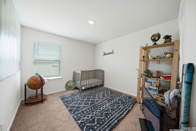 bedroom with carpet flooring