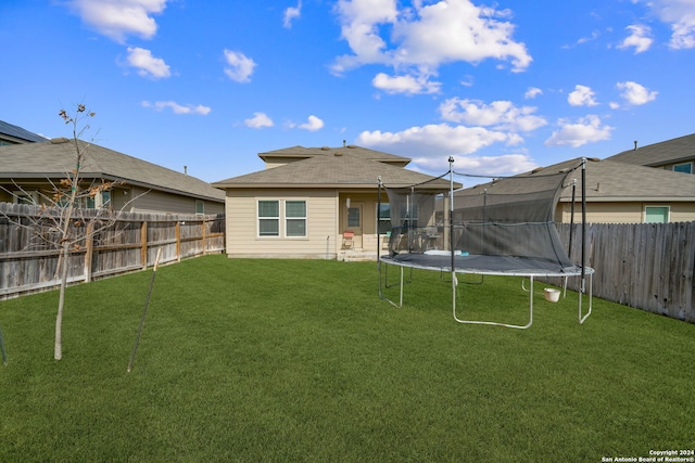 back of house with a trampoline and a lawn