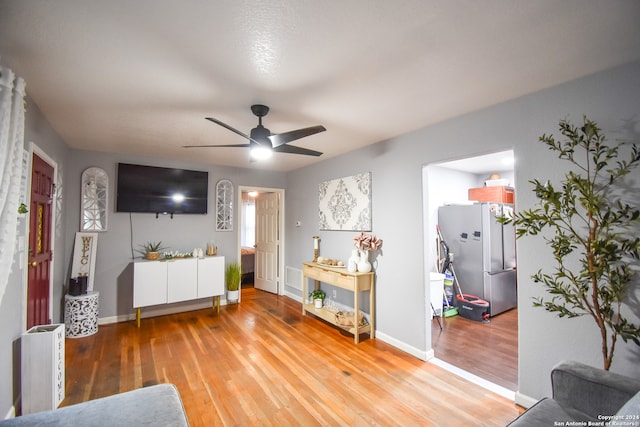 living room featuring ceiling fan and light wood-type flooring