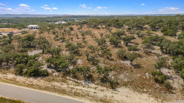 1112 Adyson Ridge Rd, Bulverde, TX 78163
