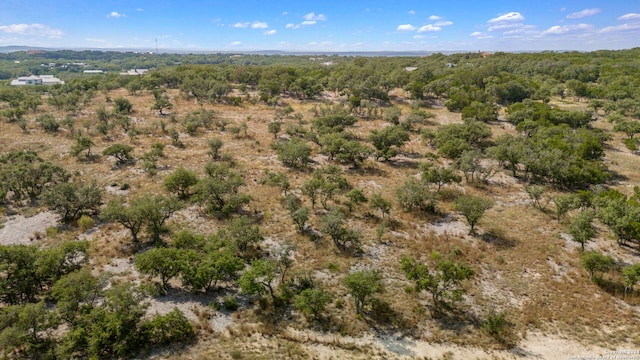 1112 Adyson Ridge Rd, Bulverde, TX 78163