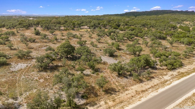 1112 Adyson Ridge Rd, Bulverde, TX 78163