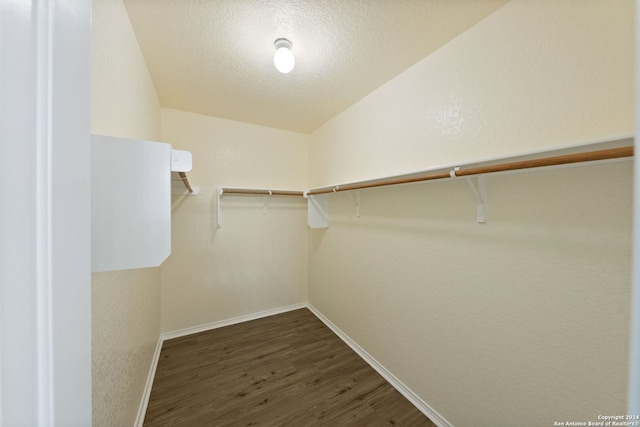 spacious closet featuring vaulted ceiling and dark hardwood / wood-style floors