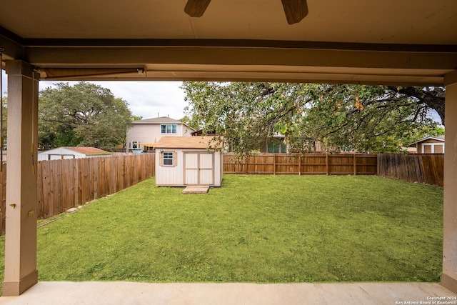 view of yard featuring a storage shed