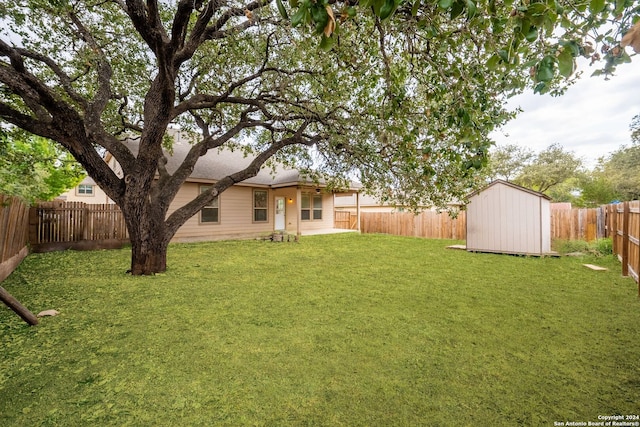 view of yard featuring a patio and a storage unit