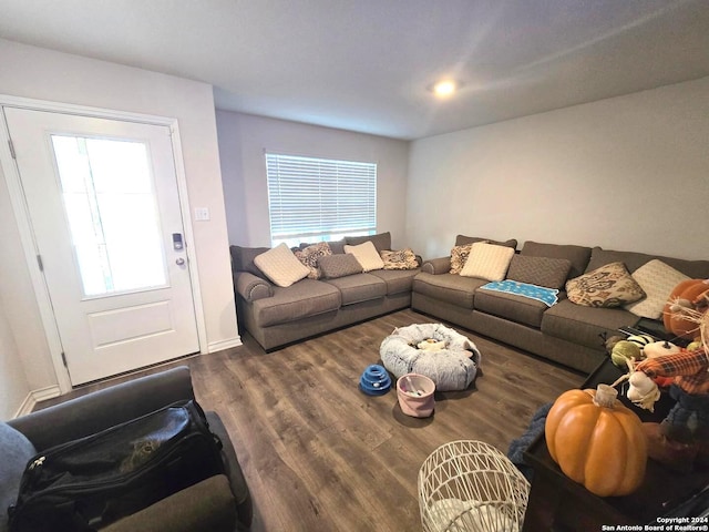 living room featuring dark hardwood / wood-style floors