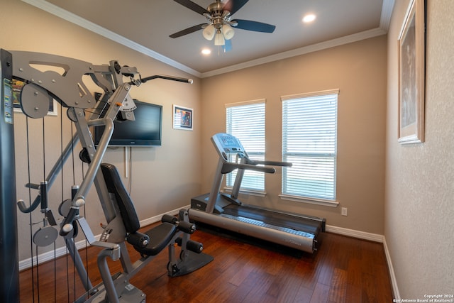 exercise room with crown molding, dark hardwood / wood-style floors, and ceiling fan