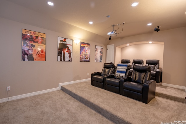 cinema room featuring light carpet