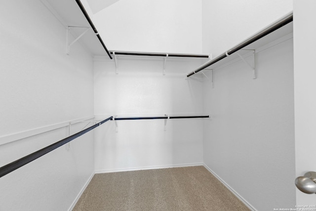 spacious closet with carpet flooring