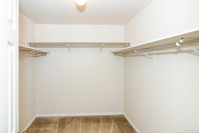 spacious closet with carpet