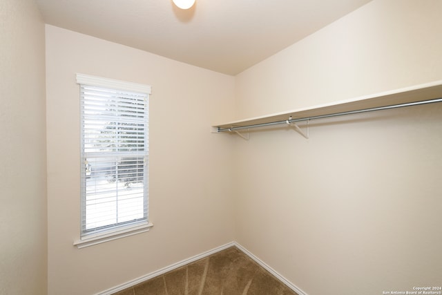 walk in closet featuring carpet floors