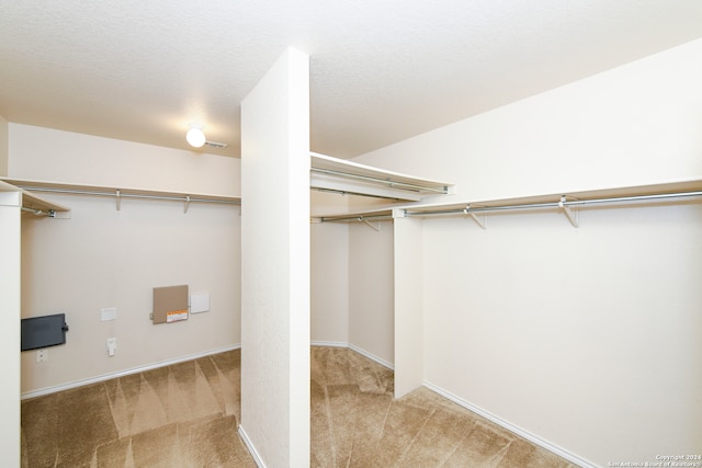 spacious closet featuring light colored carpet