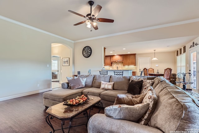 living room with dark hardwood / wood-style flooring, crown molding, and ceiling fan