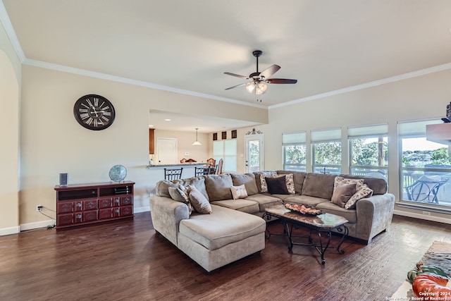 living room featuring crown molding, dark hardwood / wood-style floors, and ceiling fan