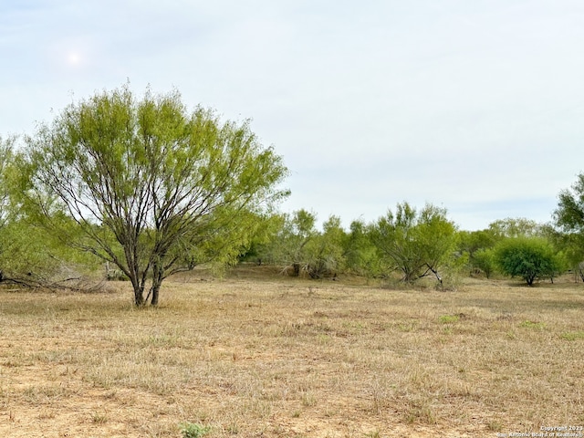 view of local wilderness with a rural view