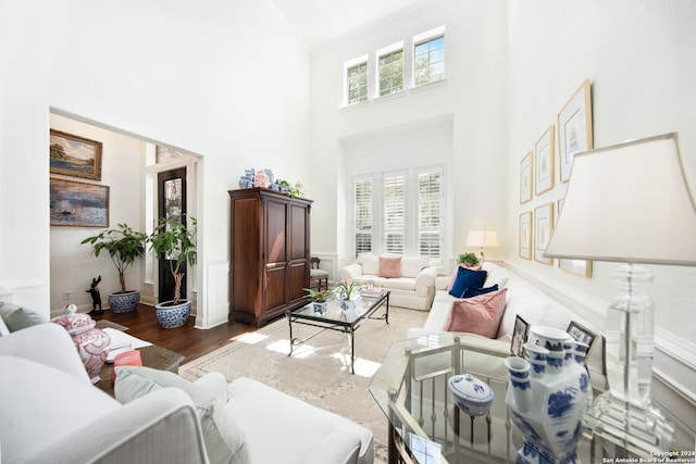 living room with ornamental molding, a high ceiling, wood-type flooring, and a healthy amount of sunlight