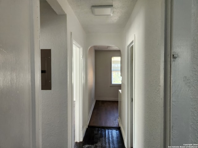 hall featuring electric panel and dark hardwood / wood-style flooring