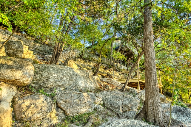 view of local wilderness