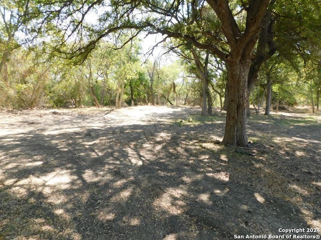 TBD Highway 132, Natalia TX, 78059 land for sale